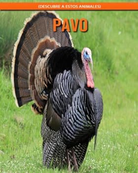 Pavo (Descubre a estos animales)