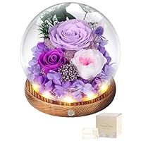 Amazon｜プリザーブドフラワー ガラスドーム 紫色 枯れない花 本物の