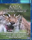 polska telewizja internetowa za darmo Polnische Ausgabe, Cover kann polnischen Markierungen enthalten. Dieser Artikel hat KEINE Deutsche Sprache und Untertitel.
