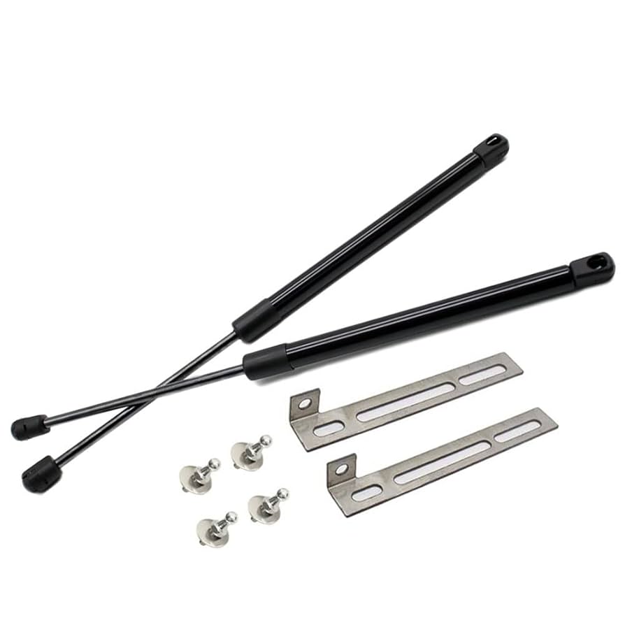 Amazon.com: TSUBASA Lift Supports Struts for Seat Cupra Leon