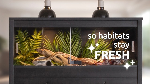 Amazon.com: New Age Pet Lo‑Boy Versa Stand for Reptile Terrariums