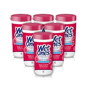 Wet Ones Antibacterial Hand Wipes, Fresh Scent Wipes | Antibacterial Wipes, Hand Sanitizer Wipes, Wet Ones Wipes, 40 ct. Canister (6 pack)