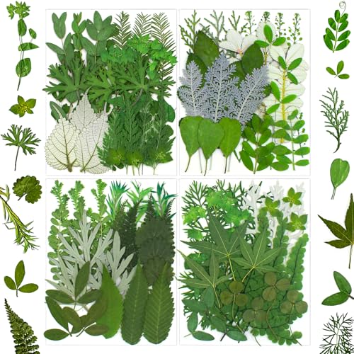 SUAUKEY 100 Pcs Dried Pressed Flowers Leaves for Resin Molds Real Natural Bulk Dry Wildflowers Perfect for Epoxy DIY Crafts Soap Candles Jewelry Making and Home Decor