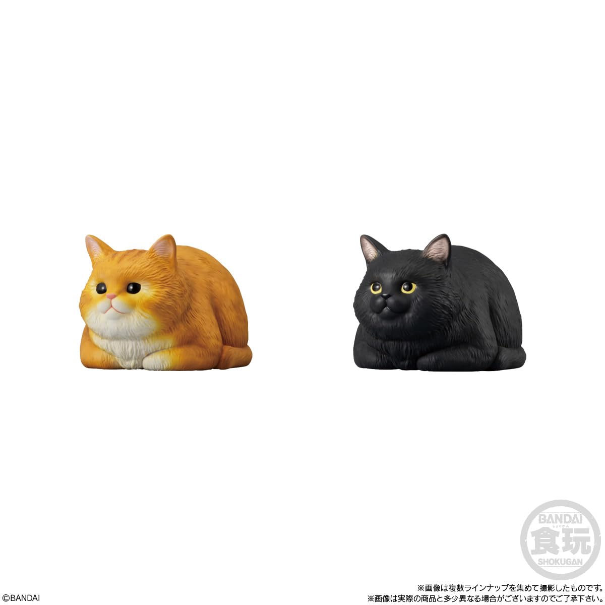 Amazon.co.jp: バンダイ(BANDAI) もっちりころりん♪ ねこ 12個入 BOX