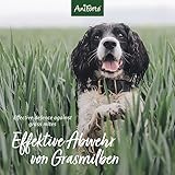 AniForte Grasmilben-EX Spray 500ml - Grasmilbenspray für Hunde, effektive & langzeitige Abwehr gegen Grasmilben & Parasiten, beruhigt gereizte Haut & lindert Juckreiz