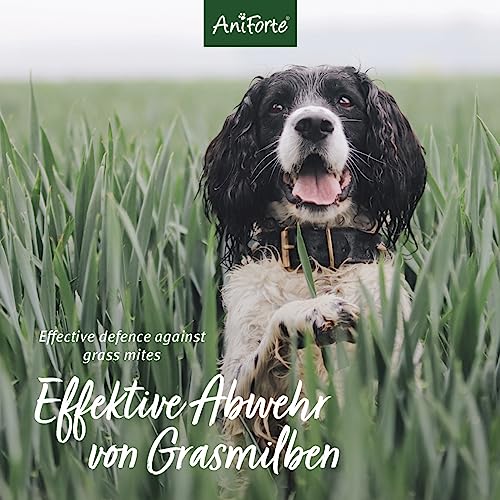 AniForte Grasmilben-EX Spray 500ml - Grasmilbenspray für Hunde, effektive & langzeitige Abwehr gegen Grasmilben & Parasiten, beruhigt gereizte Haut & lindert Juckreiz