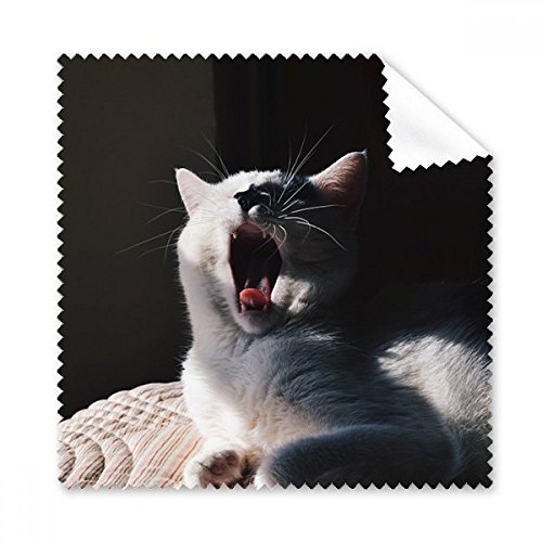 Cadeau chiffon de nettoyage lunettes chat rigolo et tissu microfibre pour écran de téléphone