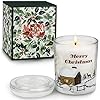 Geurkaars met kerstcadeau, 320 g natuurlijke sojawas, aromatherapie, grote kaarsen, 65-70 uur brandduur, cadeau voor vrouwen, voor stressvermindering en ontspanning van het lichaam voor vrouwen