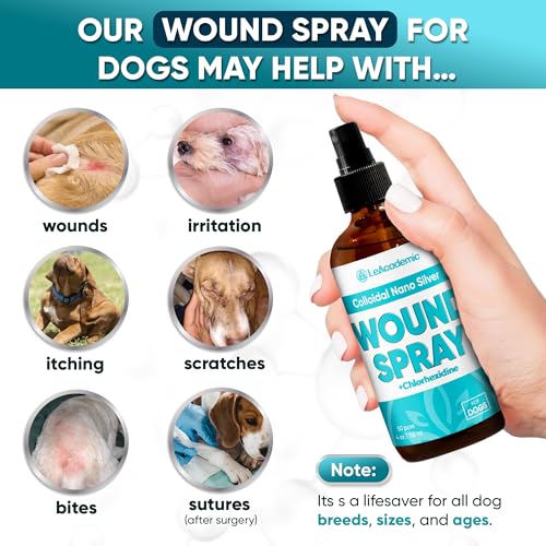 Dog Wound Care Spray is Better with Dog Cone | Nano Silver + Chlorhexidine Solution for Scratches, Bites, Redness, Irritation, and Sutures After Surgery | 4 Oz
