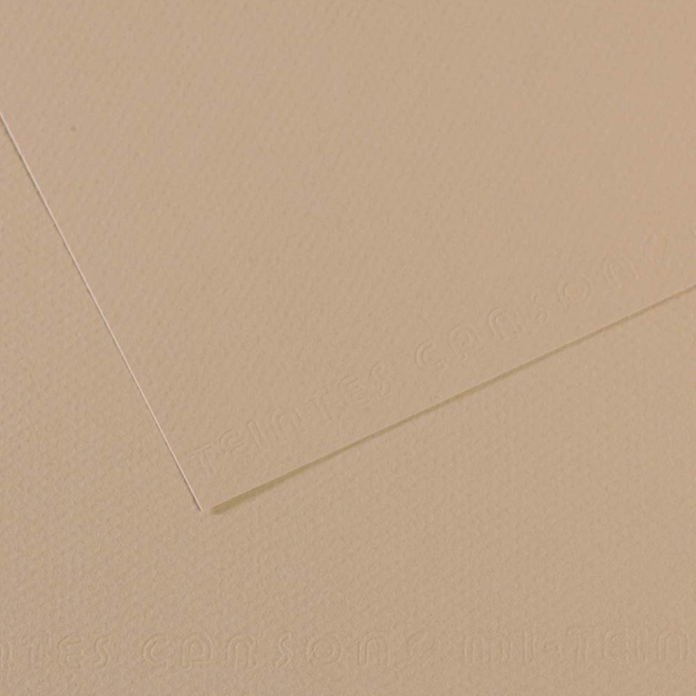 Canson Mi-Teintes Papel de Color de Pulpa Teñida, 160 g/m2, Blanco (White - 335), 221x29,7, Pack de 25 — view 25