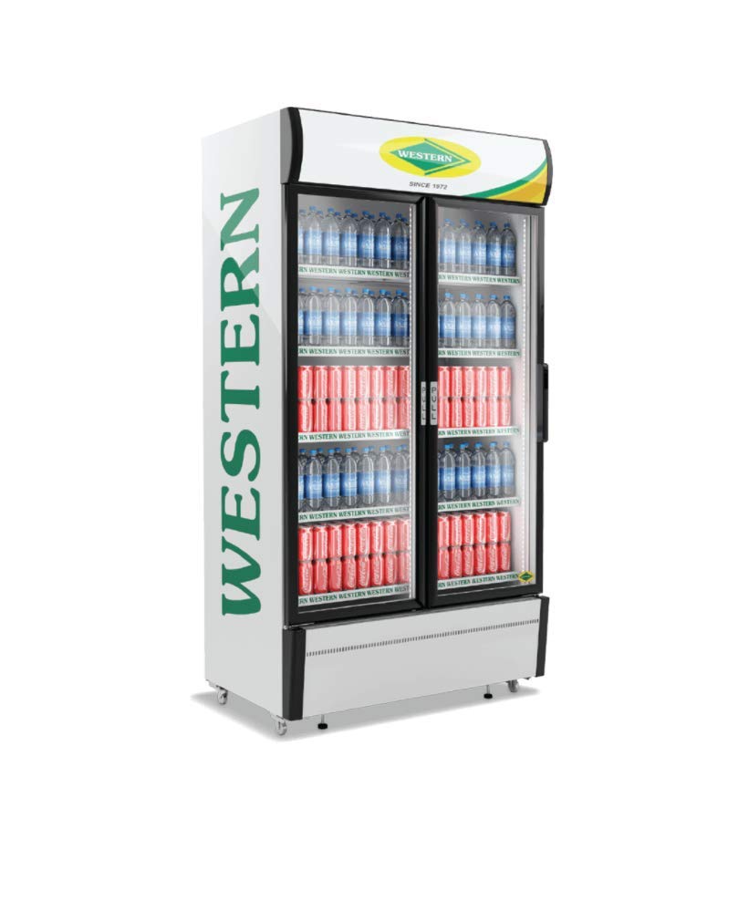 Western Visi Air Cooler Src 1005-Gl | High Ambient | Safety Compliant | Ip24 | Air- Cooled, Low Power Consumption, Heavy-Duty Compressor-image-6