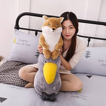 513an-IN6OL._AC_UF350,