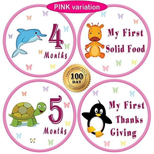 25 Pack of 4