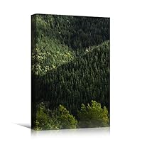 Canvas Wall Art Green Forest Dramatic Forest Landscape Living Room Multicolor Photography Rustic - 12x18 inches