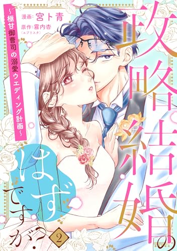 【単行本】政略結婚のはずですが？ ～極甘御曹司の溺愛ウエディング計画～2 (ネクストf Lian)