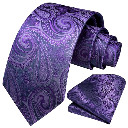 Image of HISDERN Ties for Men Paisley Tie and Pocket Square Woven Classic Floral Mens Ties Handkerchief Set Wedding Party Necktie