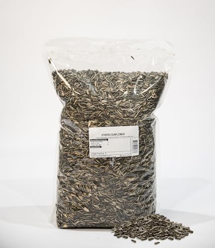 Striped Sunflower Wild Bird Seed 10 lb Large Striped Sunflower Seeds