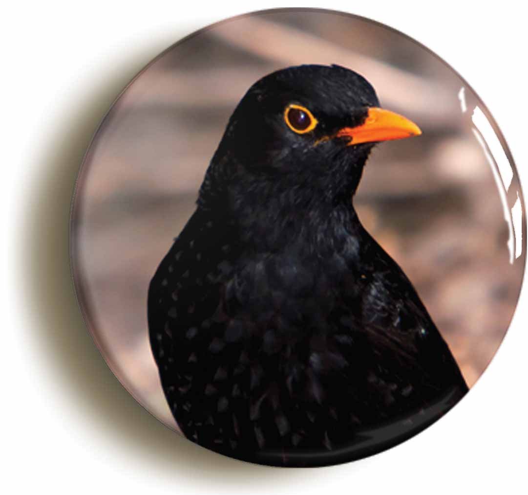 Ozorath Blackbird Fridge Magnet (Circular 2Inch / 50Mm Diameter)
