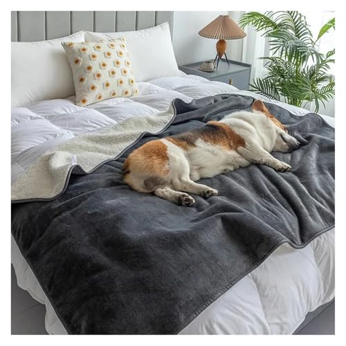 Tapis imperméable pour chat et chien idéal pour protéger le lit en automne