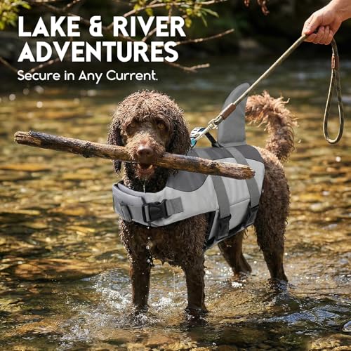 ASENKU Dog Life Jacket - Pet Safety Vest for Swimming & Boating, Shark Life Jacket with Floatation, Dog Lifesavers Swimsuits for Small Medium Large Dogs (Grey, M)