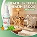 Pupganics MiloLabCo Dog Dental Spray for Teeth Cleaning, Natural Plaque & Tartar Support for Dogs, No-Brush Dog Oral Care with Probiotics & Sea Kelp, Helps Promote Fresh Breath & Healthy Gums (1pcs)