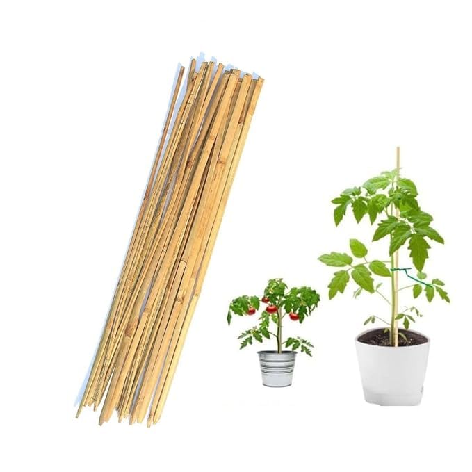 Bamboo Plant Support Sticks – 20 Pack | Natural Garden Stakes for Plant Stability | Strong, Durable & Eco-Friendly Trellis Sticks for Indoor & Outdoor Gardening (3 Feet)-image-9