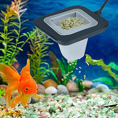 Anello di alimentazione per acquario, quadrato