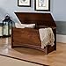 Sauder Shoal Creek Storage Chest, Toy Storage Chest for Living Room, Storage Trunk, in Oiled Oak