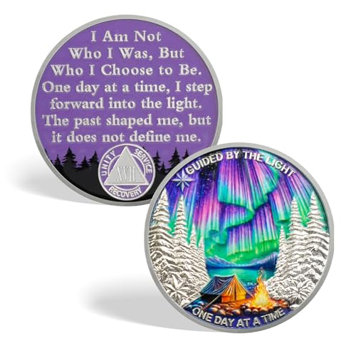 Image of CHURYUML One Day at a Time 17 Year Sobriety Coin - Inspirational Sober Chip, Non-Religious AA Coins Recovery Medallions Sober Affirmation Token Sobriety Gifts for Women Men Celebrating Sobriety