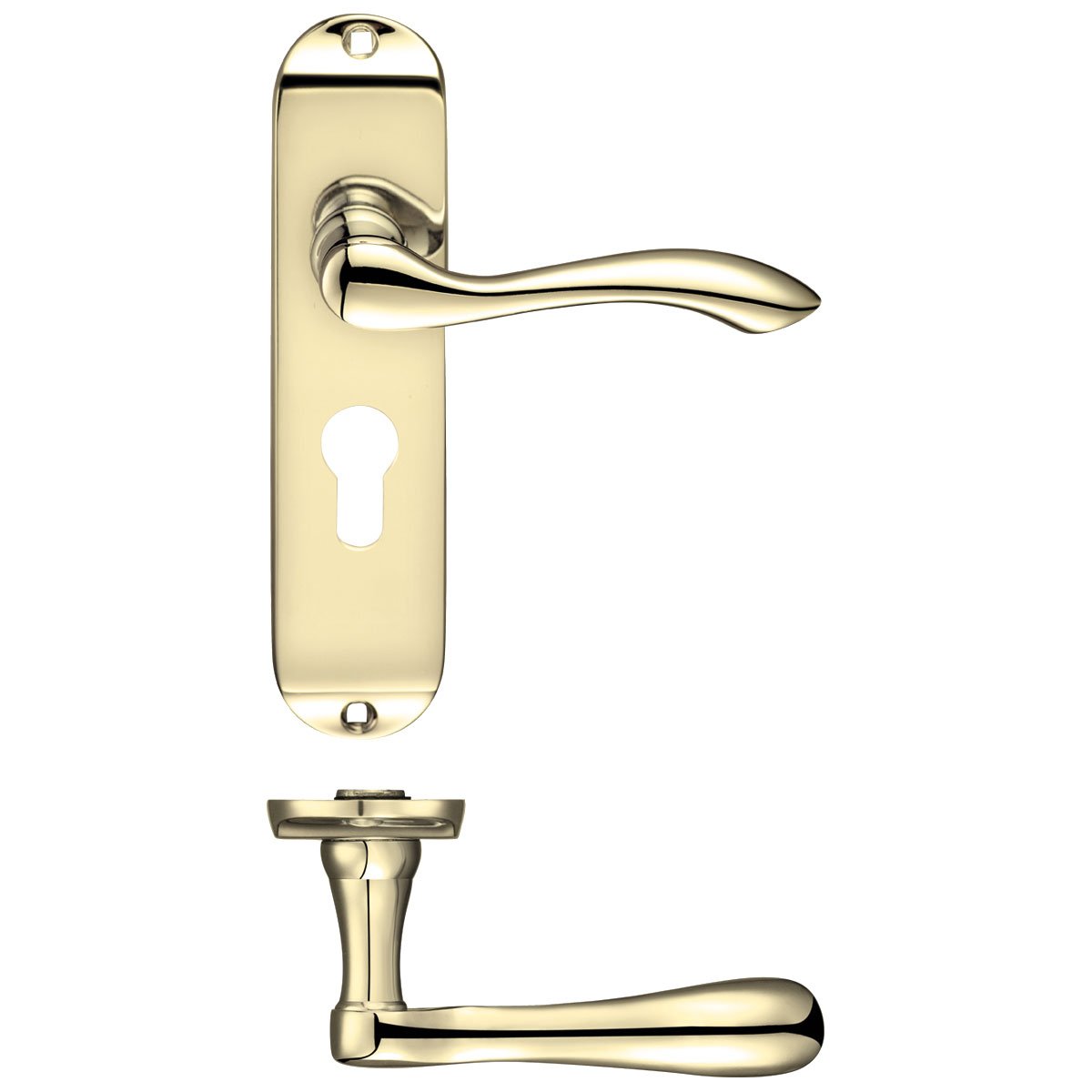 Zoo Chrome Arundel Door Handle On Backplate - Euro Profile - Polished
