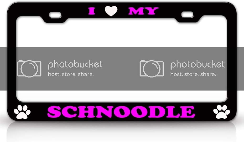 I Love My Schnoodle Dog Pet Animal Metal Car SUV Truck License Plate Frame Bl/Pn u90