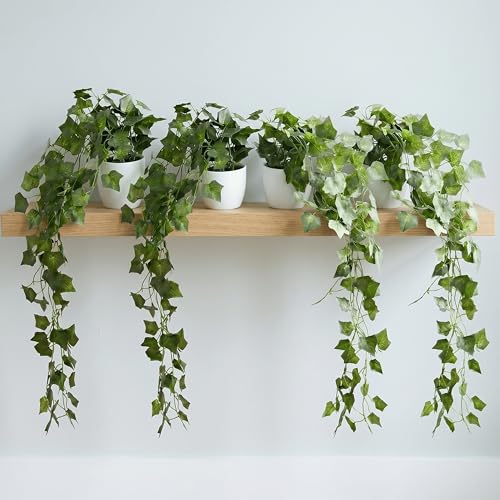 Image of Dekorly Artificial Hanging Garland with Pot - 100cm Rose Vine, 10cm Decorative Pot for Table, Shelf & Wall Decor (4, Star Money Vine)