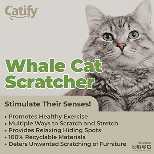 Image of Best Pet Supplies Catify Cat Scratcher, Fun Interactive Scratchers, Posts, Poles, Claw Safe, Furniture Saver Indoor Play Support Natural Cat Behaviors Heavy Duty - Whale