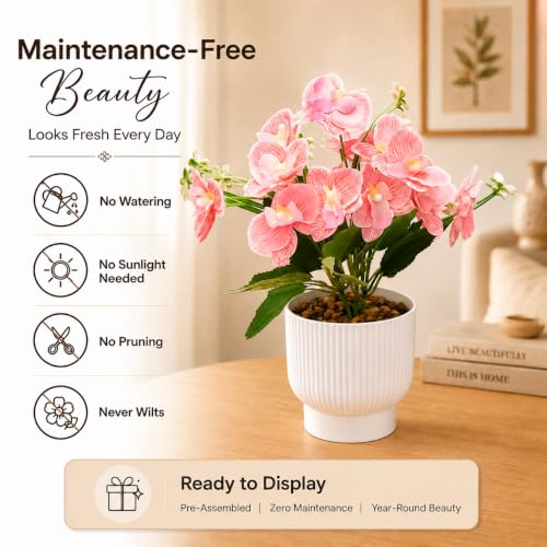 Image of CURATED CART Flower Pot with Artificial Flowers - Orchid Peach Flower with White Vase | Ideal for Home Decor | Office Decor | Gifting | Size 25 x 15cm