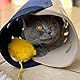 Yolispa Katzentunnel, 2 Stück Extralang Faltbar Katzenspielzeug Tunnel, Abnehmbar und Waschbar Filz Katzenstreu Haustier Spielzeug, Spieltunnel & Liegematte für Katzen kleine Hunde und kleine Tiere