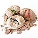 ArtSkills Dinosaur Eggs Excavation Dig Kit, Mystery Box of 4 Dino Eggs - Collect All 12 Toy Dinosaurs