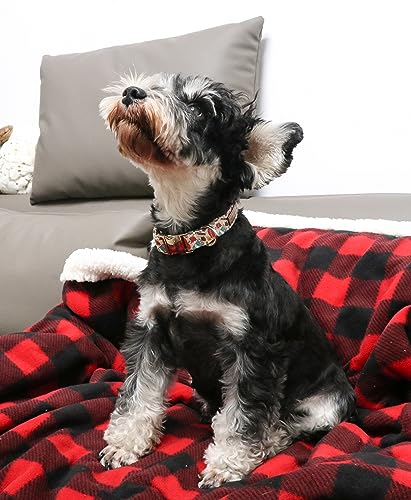 Unique style paws Halloween Dog Collar Metal Buckle Pumpkin Collar Gift Durable Cute Collar for Small Medium Large Boys Girls Dogs