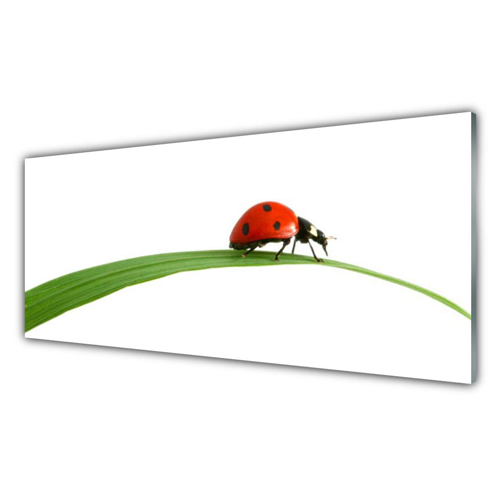 Tableau mural moderne Tulup en verre trempé 125x50 cm pour habiller un grand mur vide