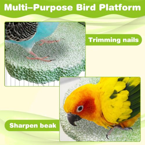 Image of PINVNBY 3PCS Bird Beak Grinding Stone Resin Bird Perch Stand Grinding Claw Birds Cage Perch Parrot Climbing Chewing Toys Parakeet Cage Accessories for Budgies Cockatiels Conures (Green)