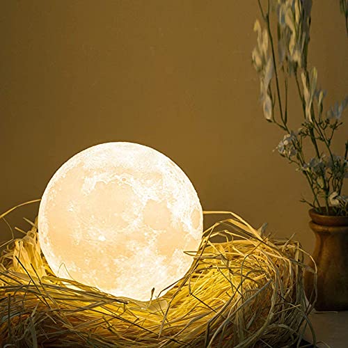 Gepersonaliseerde Maan Lamp met Uw Eigen Foto Gegraveerd, 3D Gedrukt 2 Kleuren Aangepaste Maan Licht met Houten Stand 12cm