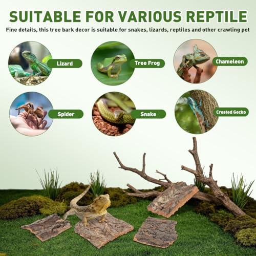 Image of balacoo Terrarium Tree Bark: 4pcs Reptile Bark Decoration Natural Cork Bark Backdrop Reptile Tank Background Leopard Cork Bark - Tarantula Enclosure Accessories