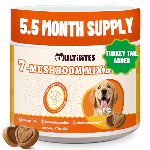 MULTIBITES Mushroom Supplement for Dogs - Supports Antioxidant & Immune Defense Gut Skin Joint & Urinary Tract Health 7-Mushroom Complex (Turkey Tail Lions Mane Reishi & 4 Others) 330 Chews