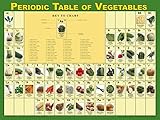 Learning Zonexpress Vegetable Poster for Classrooms, Health Offices | Periodic Table of Vegetables Poster | 18' x 24' Laminated