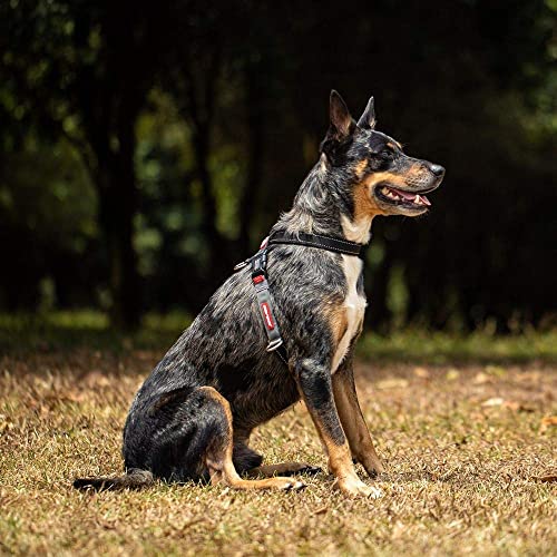 EZYDOG Crosscheck Training Harness, Pink, L - Image 3