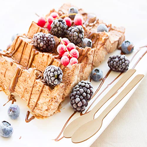 200 Pcs Mini Wooden Spoons, 4 Inch Disposable Wooden Dessert Spoons, Biodegradable Compostable Birchwood #TOP5
