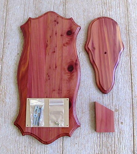 The Taxidermists Woodshop Cedar European Mount Picture Pedestal Plaque