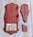 The Taxidermists Woodshop Cedar European Mount Picture Pedestal Plaque