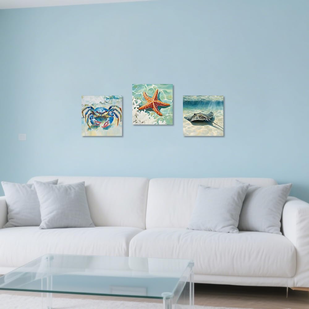 ZQQART Leinwandbilder mit blauer Krabbe 3er Set Krabbe Mantarochen Seestern Nautische Badezimmer und Stranddekoration Küstenkunst mit Rahmen (50x50cmx3)