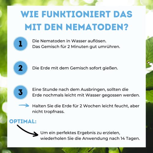 Futeco® – HB-Nematoden gegen Dickmaulrüssler & Engerlinge – für 100m² Fläche – zum einfachen gießen – 100% Biologisch, Chemiefrei & Natürlich – Made in Germany 3