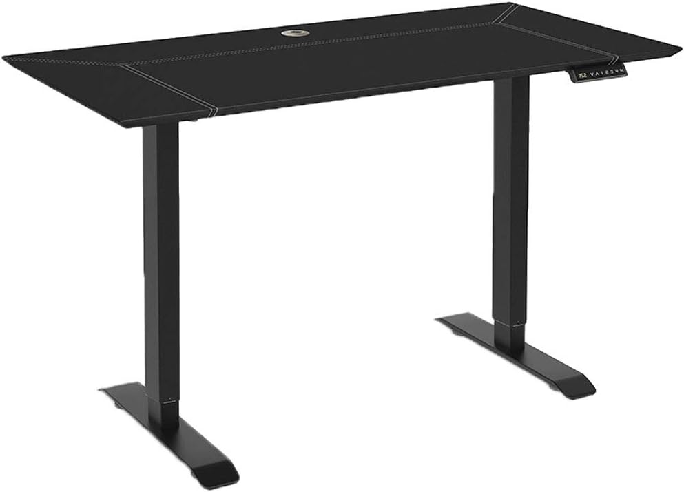 SHENXINCI Electric Height Adjustable Standing Desk, Electric Standing